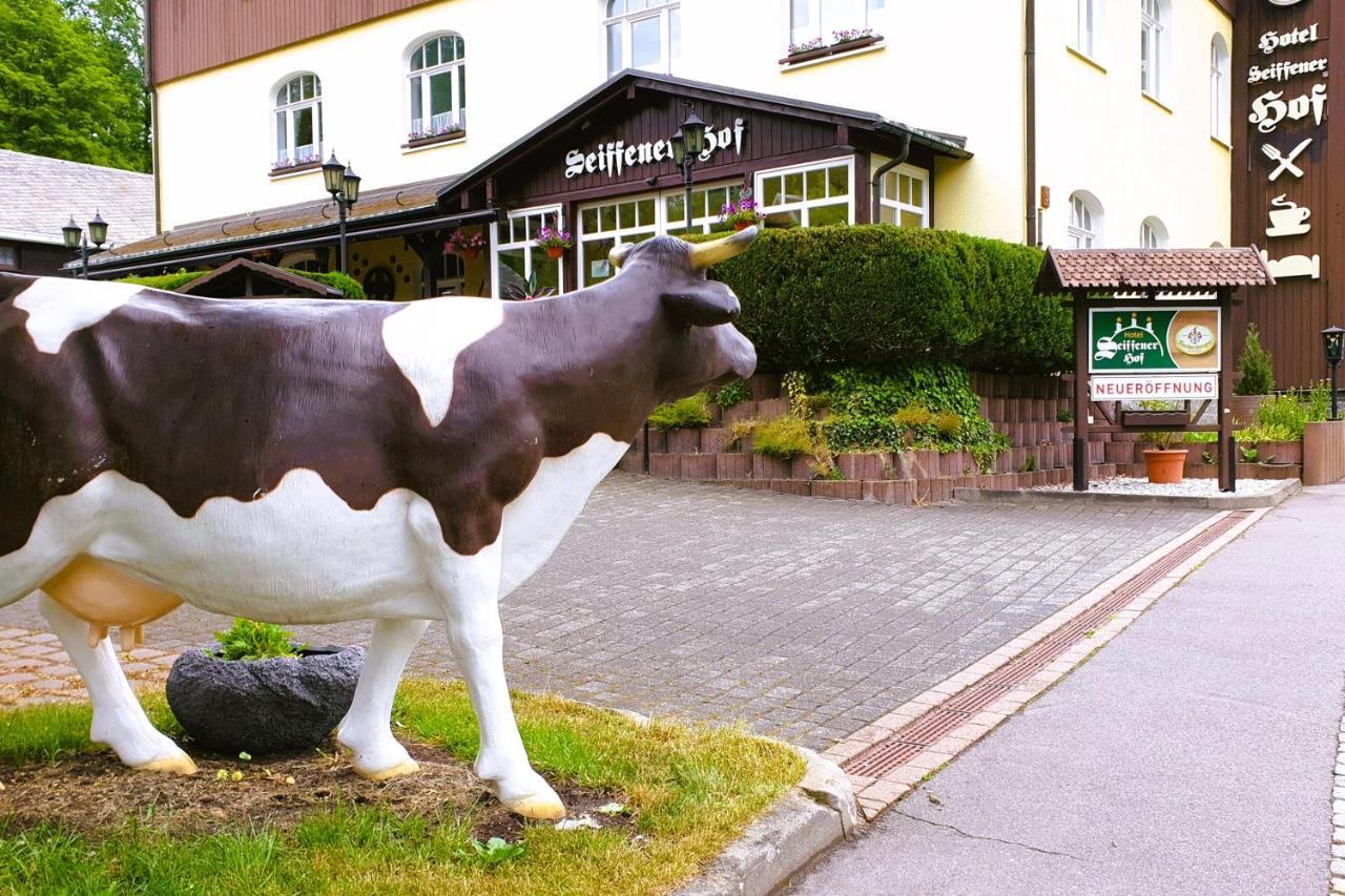 Hotel Seiffener Hof*** Dış mekan fotoğraf